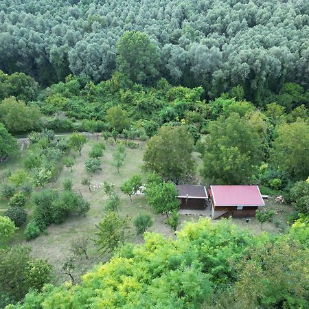 Odmor Za Dusu I Tijelo U Srcu Prirode Βίλα Aljmaš Εξωτερικό φωτογραφία