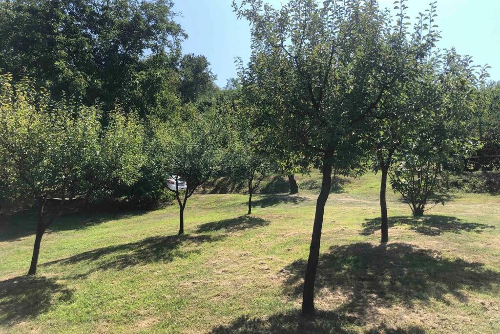 Odmor Za Dusu I Tijelo U Srcu Prirode Βίλα Aljmaš Εξωτερικό φωτογραφία