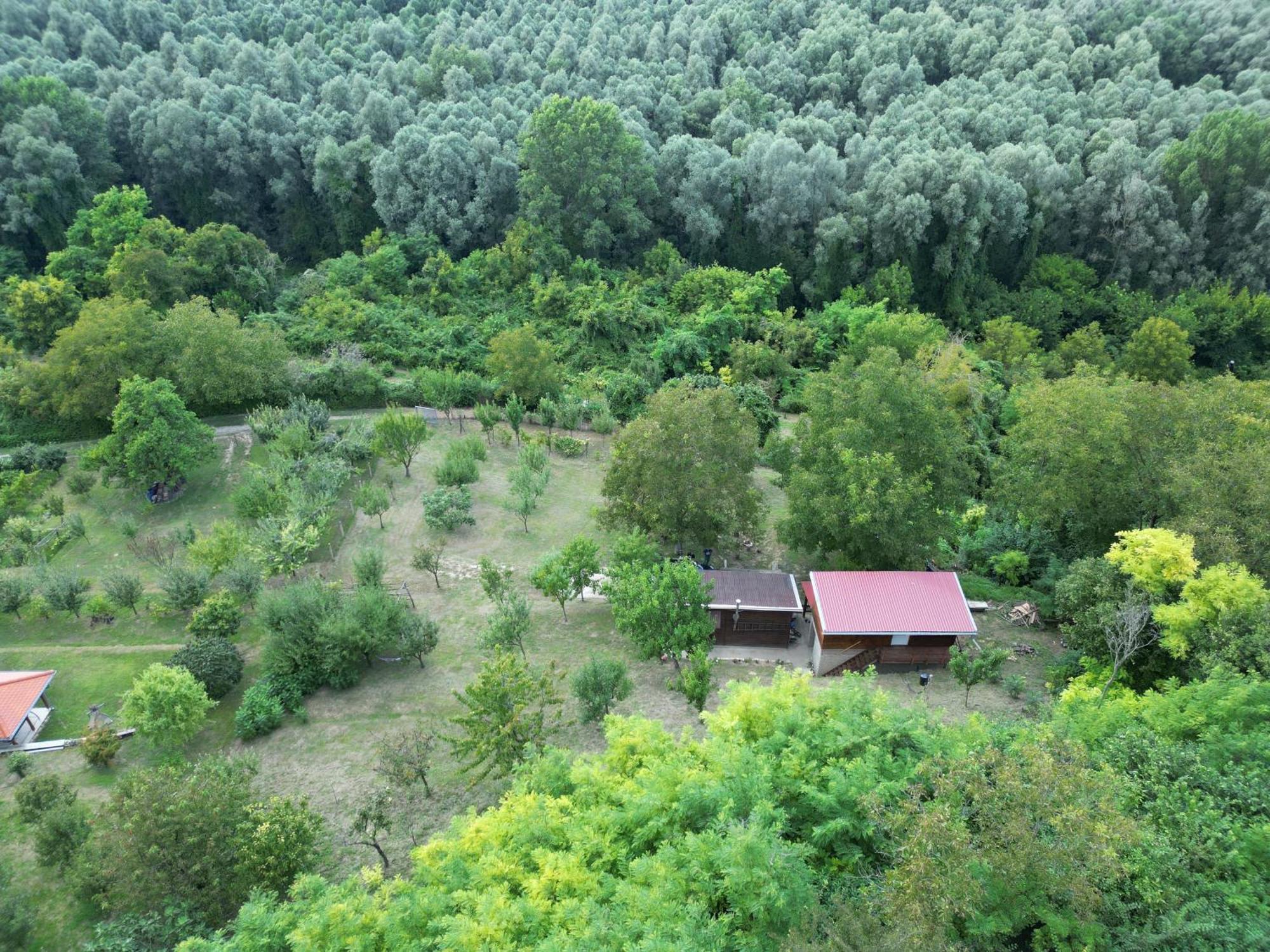 Odmor Za Dusu I Tijelo U Srcu Prirode Βίλα Aljmaš Εξωτερικό φωτογραφία